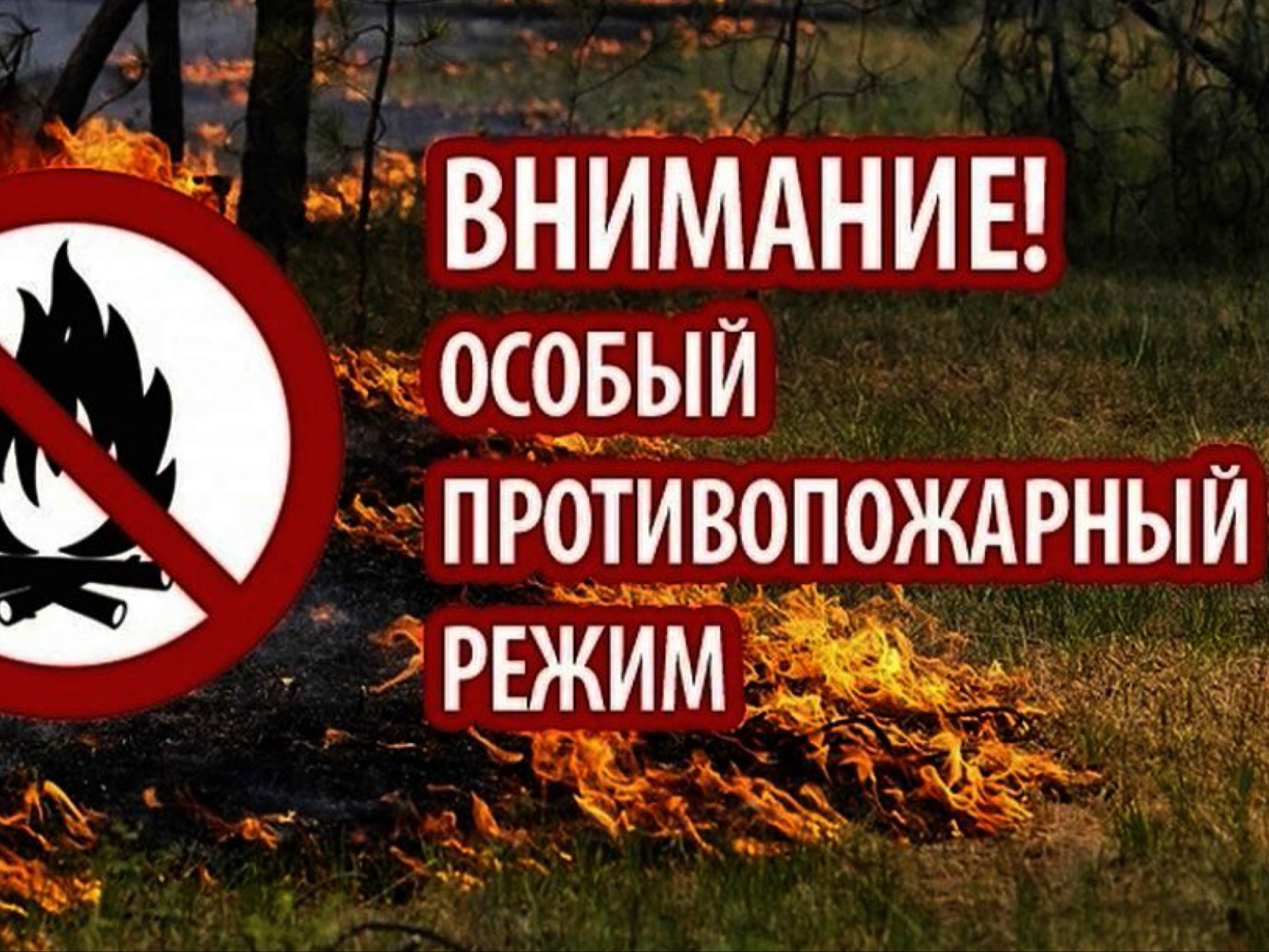Об установлении особого противопожарного режима на  территории Поповского сельского поселения.