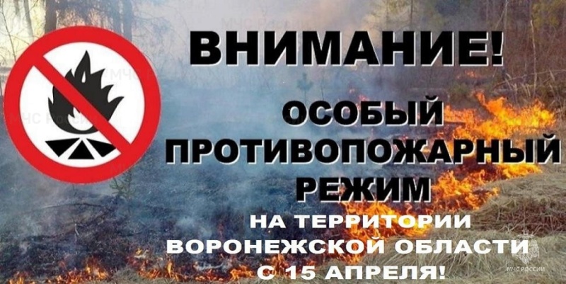 С 15 апреля на территории облacти введен особый противопожарный режим.
