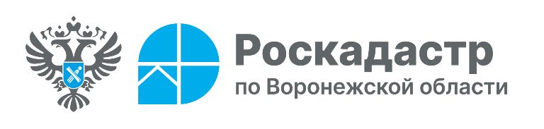 О деятельности филиала публично-правовой компании &quot;Роскадастр&quot; по Воронежской области.