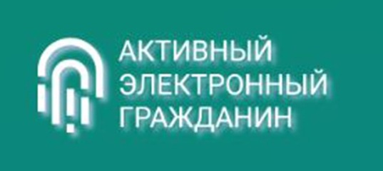 На официальном сайте &quot;Активный электронный гражданин Воронежской области&quot; открыт доступ для прохождения IT-опроса населения.