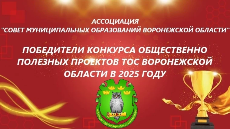 Итоги конкурса проектов ТОС 2025: Поповское сельское поселение в числе победителей!. Итоги конкурса проектов ТОС 2025: Поповское сельское поселение в числе победителей!.