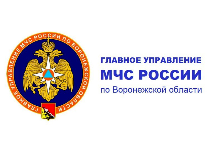 Жарили шашлыки – спалили лес!. Жарили шашлыки – спалили лес!.